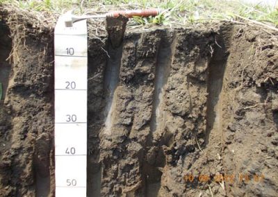 kivu soil survey 053