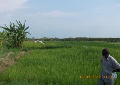 kivu soil survey 240