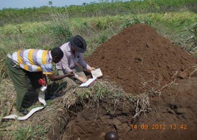 kivu soil survey 463
