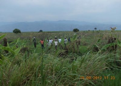 kivu soil survey 564