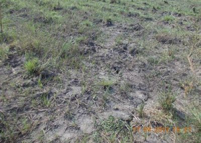 kivu soil survey 844
