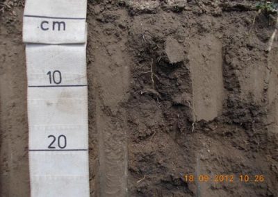 kivu soil survey 875